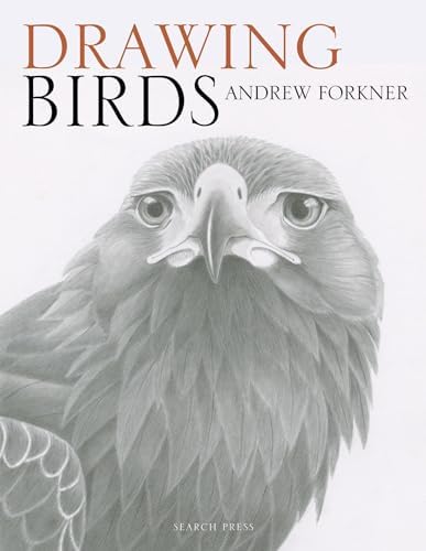 A-Z of Bird Portraits: An illustrated guide to painting beautiful