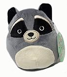 Squishmallow 5 Inch Raccoon Plush Super Soft Squishy Stuffed Animals Age 0+ (Randy The Raccoon)