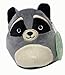 Squishmallow 5 Inch Raccoon Plush Super Soft Squishy Stuffed Animals Age 0+ (Randy The Raccoon)