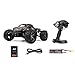 Iron Track Electric Mastadon 1:18 4WD Brushless Remote Control Truck, Black