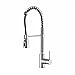 Kraus KPF-1612 Single Lever Pull Down Kitchen Faucet Chrome
