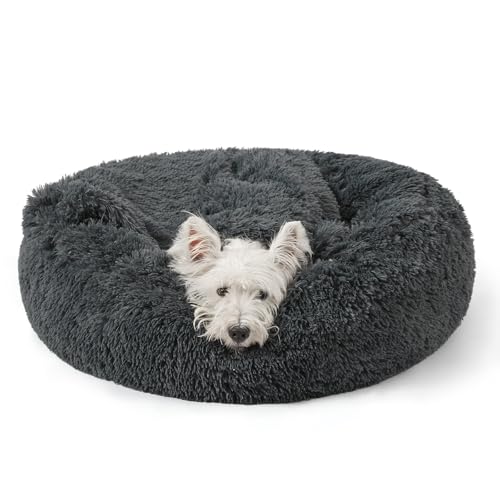NOYAL Calming Hooded Dog Bed