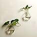AWEVILIA Wall Hanging Plants Planter Terrariums Creative Fashion Glass Hexagon Shape Vase Home Decor Wall Plants Set of Two