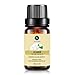 Jasmine Essential Oil, Premium Therapeutic Grade,10ml