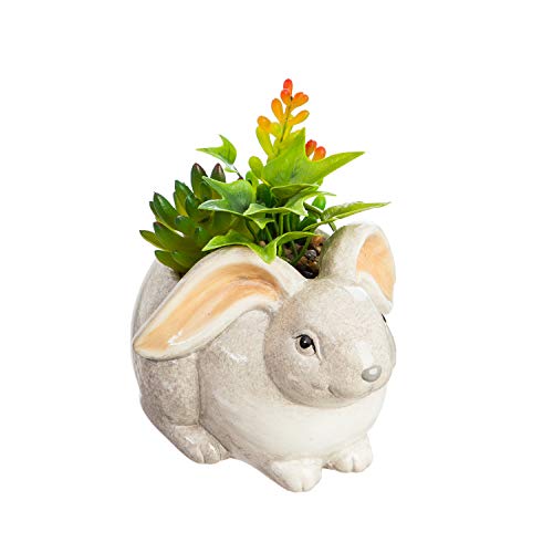 Cypress-Home-Ceramic-Rabbit-Planter-with-Succulent-6-x-5-x-4-Inches