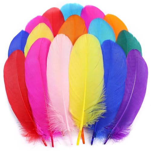 Holmgren Colorful Craft Goose Feathers - 200pcs 5-7inch Colored Feathers for Kindergarten Kids DIY Crafts, Dream Catchers, Cosplay Wings and Home Party Decorations Colorful)