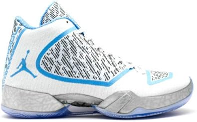 air jordan 29 pantone