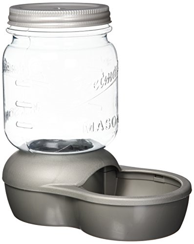 Petmate Replendish Feeder, 2 lb, Mason Silver