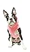 Gooby Fleece Vest Hoodie Dog Sweater - Pink, Small - Warm Pullover Dog Hoodie with O-Ring Leash for Small to Medium Dogs