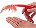 LingSY 2Pack Shrimp Peeling and Deveining Seafood Shell Prawn Curved Peeler Shrimp
