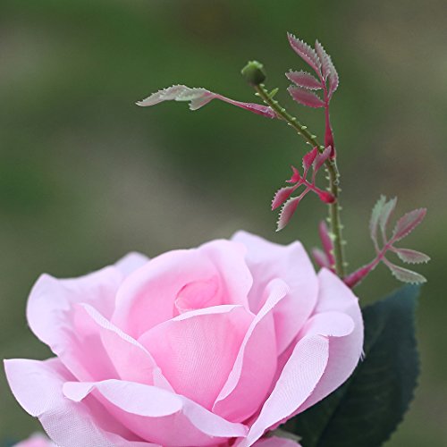 XLUX Outdoor Solar Powered Rose Lights Flower Stake, for Garden Patio Yard Christmas Pathway Decoration, Pink