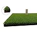 Gaoqi Golf Mat Residential Practice Hitting Mat 12''x24'' with Realistic Synthetic Turf Grass, Portable Training Equipment (Free 6 Ball and 1 Tee)