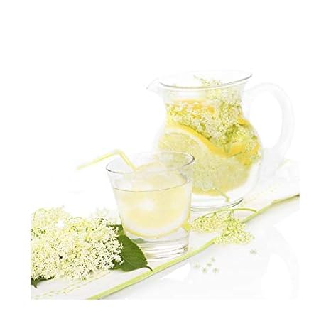 Limonade Fabrication Maison Au Sureau Avec Fleurs Bio