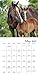 Muhammad Ali 2018 Calendar