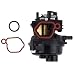 HONEYRAIN 799584 Carburetor for Briggs & Stratton 594058 725EXI 550EX 625EX 675EX 140cc Engines Troy Bilt TB200 TB110 TB554 Lawnmower