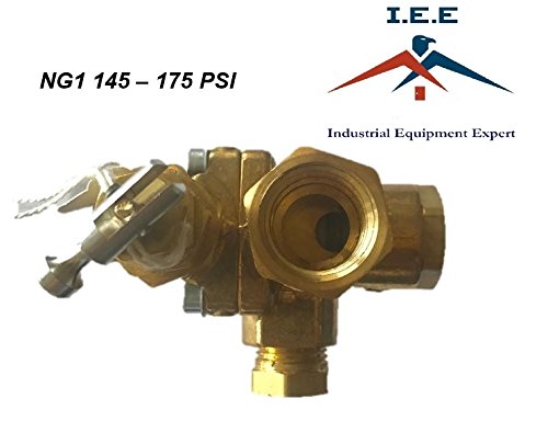 Gas Air Compressor unloader valve pilot check valve combination 145-175 NG1 - Thumbnail 2
