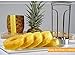 ChirRay Stainless Steel Pineapple Cutter Corer Ananas Slicer fruit Parer Peeler For Family Hotel