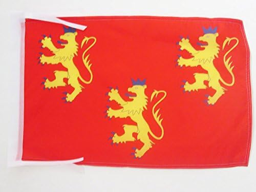 AZ FLAG, French Department of Dordogne Flag, 18'' x 12'', 100% Polyester France Small Banner with Two Cords, Fade Resistant