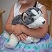Nat and Jules Playful Large Husky Dog Children's Plush Stuffed Animal Toy