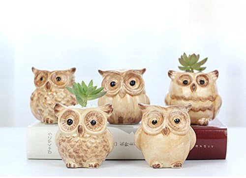 SweetLifeIdea Ceramic Garden Decor Planter Owl Flower Pot Cactus Succulent Plants Pot 5pcs Set (Yellow)
