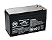 AJC Battery Compatible with APC Back-UPS Back-UPS 750 12V 8Ah UPS Battery