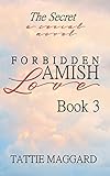 The Secret (Forbidden Amish Love Book 3) by Tattie Maggard