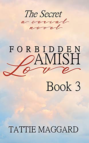 The Secret (Forbidden Amish Love Book 3) by Tattie Maggard