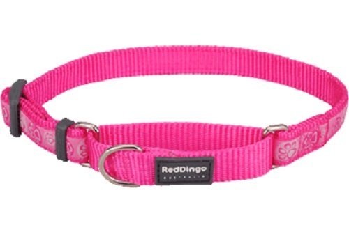 Red Dingo Martingale Paw Impressions Collar, Medium-Large, Hot Pink