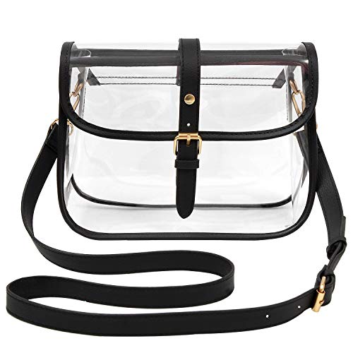 Great Bag for Stadiums