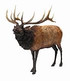 Hunter Dan Bull Elk Rocky Mountain Monster