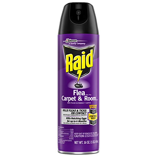 Raid Flea Killer Carpet and Room Spray, 16 OZ (Pack 1) Pricepulse