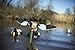 MOJO Outdoors Blue Wing Teal Motion Duck Decoy