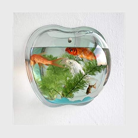 Acuario Acrilico Montado En La Pared Acuario Acuario Acuario