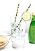 Kikkerland Biodegradable Paper Straws, Bamboo, Box of 144