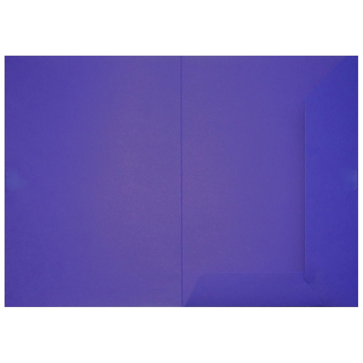 Original BIGO Presentation Folder DIN A4 Cornflower Blue Pack of 10 Versatile Use for Your Offers, Exposés, Projects or Business Reports Document Folders Cardboard Folders Sturdy File Folders