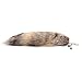 Huloo Golden Island Fox Fur Tail Bag Pendant Key 15-18 in Centimeters