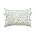 WAVERLY Astrid Decorative Pillow, 14x20, Mineral