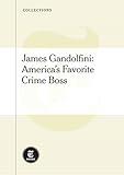 James Gandolfini - America's Favorite Mob Boss