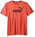 PUMA Men's Essential No.1 Heather T-Shirt