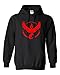 Pokemon Go Gym Team Valor Red Youth Boys Girls Hoodie Sweatshirt