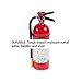 Kidde 466112 ABC Pro Multi-Purpose Dry Chemical Fire Extinguisher, UL rated 3-A, 40-B:C, Easy to Read Gauge, Easy to Pull Safety Pin