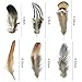Nydotd 125Pcs Dream Catcher Making Kit, 15 Pcs Metal Rings Hoops Macrame Ring in 5 Size Gold, 100pcs 6 Styled Feathers, 10 Pcs 3 mm Faux Suede Cord for Dream Catcher Crafts Birthday Party