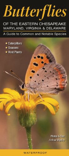 Butterflies of the Eastern Chesapeake: Maryland, Virginia & Delaware: A Guide to Common & Notable Species (Quick Reference Guides)