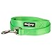 Blueberry Pet Essentials Neon Green Dog Leash for Large - 4' * 1