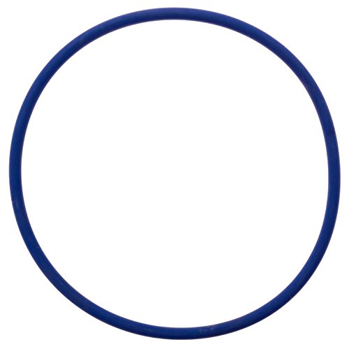 Pool Ruler CLX200K ORing (Chlorine Resistant VITON) + Lubricant for