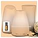 doTERRA Citrus Bliss Essential Oil Invigorating Blend 15 ml