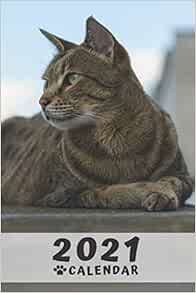 Savannah Cat Calendar 2021: Perfect for Notes and Planning ...