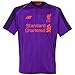 Liverpool Men's 2018/2019 Away Soccer Jersey