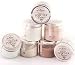 Amy Howard at Home Toscana Powder Paint (Venetian Brown)