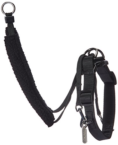 SPORN Dog Halter, Black, Medium